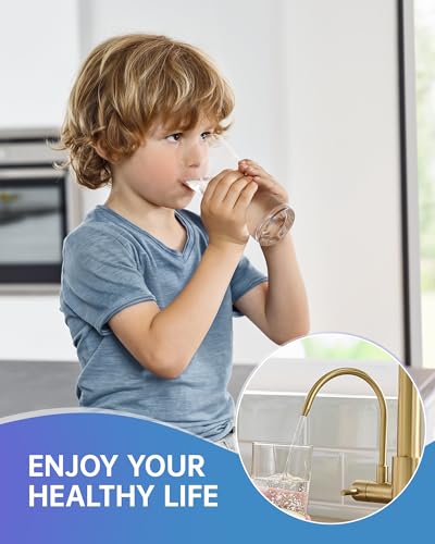 3 Way Kitchen Faucets with Sprayer and Water Filter Brushed Gold