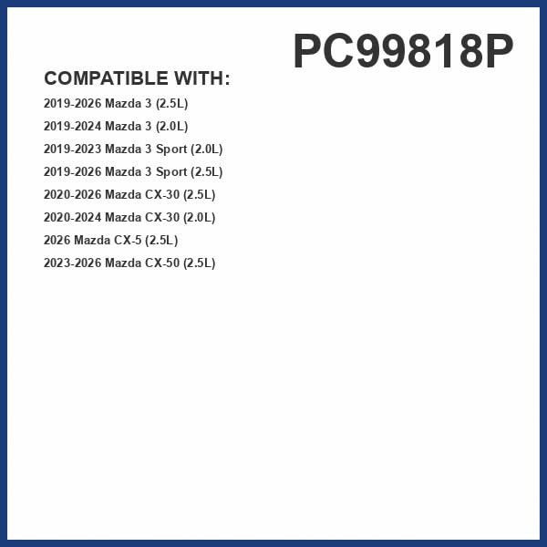 PG Cabin Air Filter PC99818P
