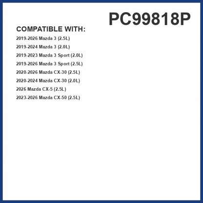 PG Cabin Air Filter PC99818P