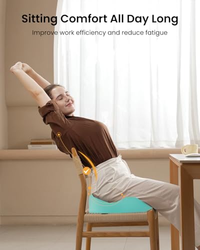 Extra Large Seat Cushions for Office Chairs