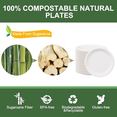 10 Inch Paper Plates 125 (125 Count)
