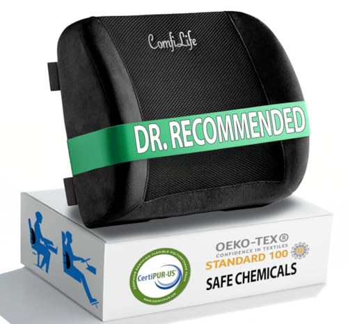 Lumbar Support Back Pillow Office Chair and Car Seat Cushion