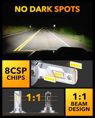 2026 Q26 H7 Bulbs Real 1 (2 Count)