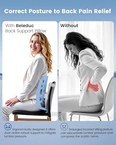 Lumbar Support Pillow for Office Chair