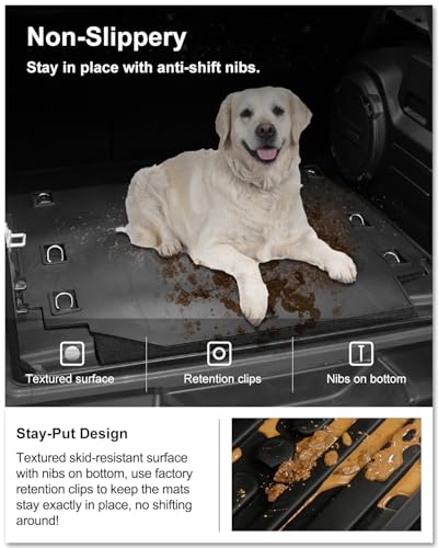 Cargo Mat for 2018