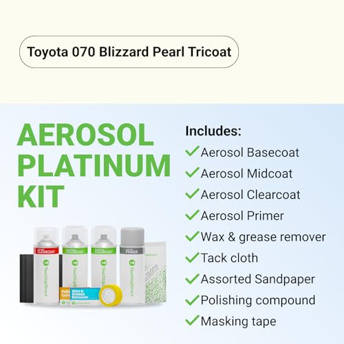 Car Paint Touch Up Spray Kit