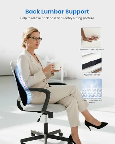 Lumbar Support Pillow for Office Chair