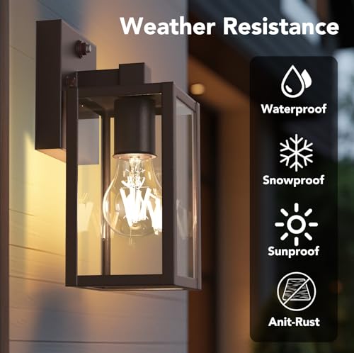 Dusk to Dawn Outdoor Light Fixtures (2 Count)