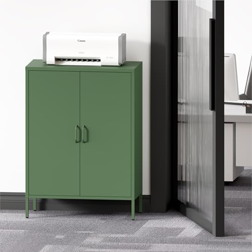 Metal Storage Cabinet with Doors and Shelves