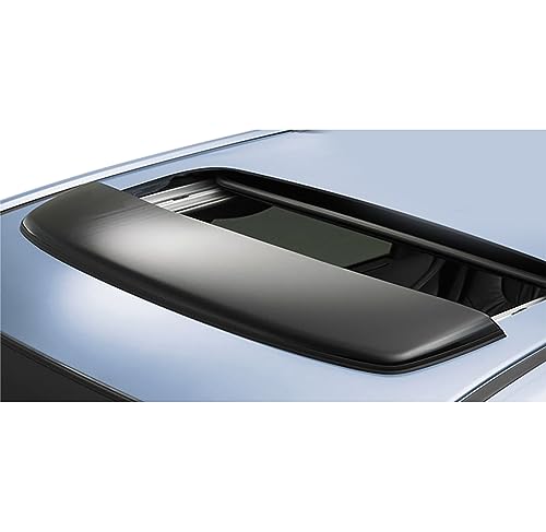Black Horse Sunroof Deflector Dark Smoke Compatible with