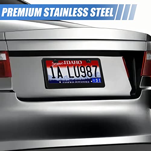 2 Pack License Plate Frames (2 Count)