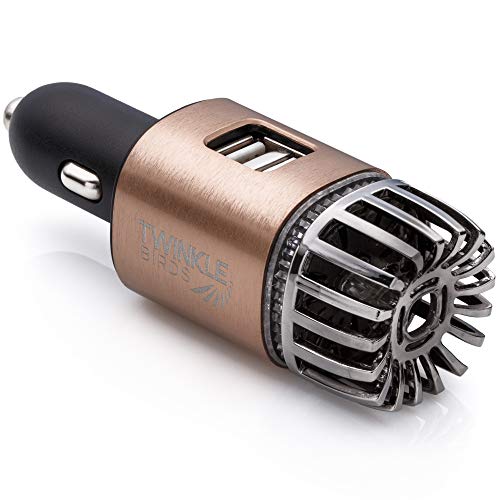 Car Air Purifier Ionizer