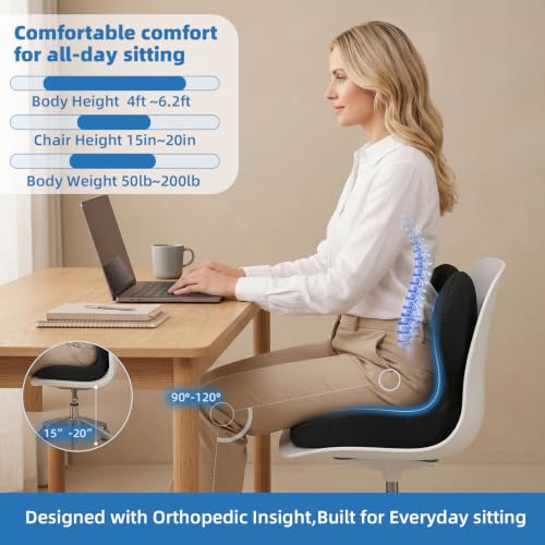 Seat Cushion with Lumbar Support Pillow