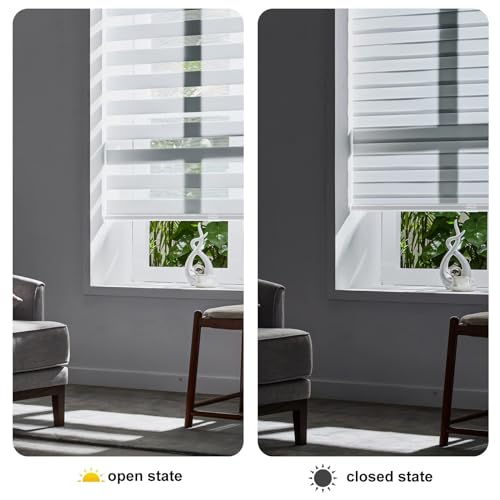 Zebra Cordless Roller Shades for Windows