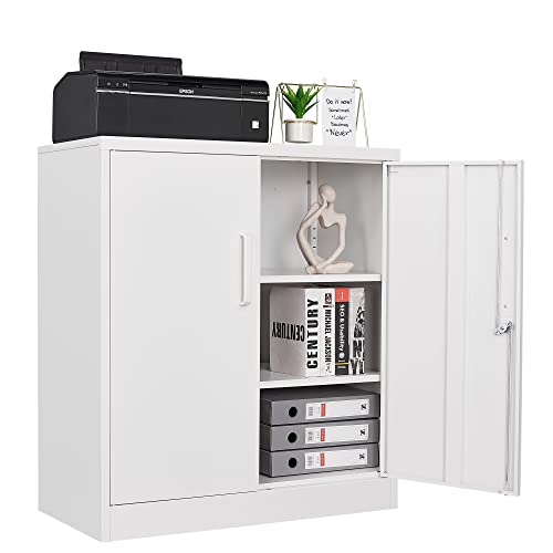 Metal Garage Storage Cabinet with 2 Doors and 2 Adjustable Shelves
