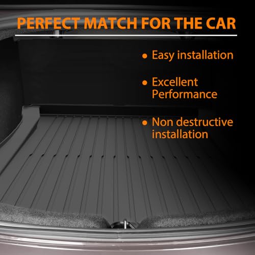 TPE Floor Mats & Cargo Liner Fit Tesla Model 3 Highland 2024 2025 (6 Count)