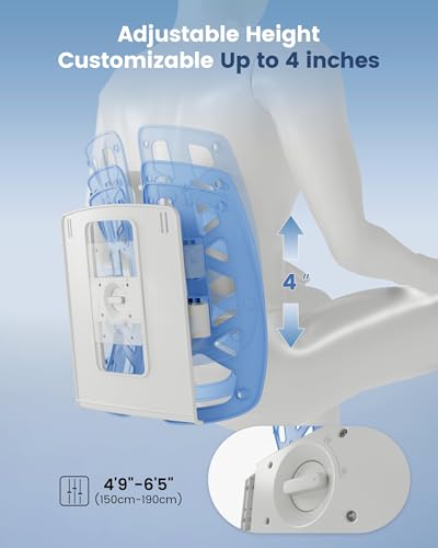 Lumbar Support Pillow for Office Chair