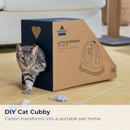 Little Green Pet Deluxe Portable Carpet Cleaner