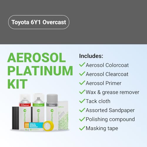 Car Paint Touch Up Spray Kit