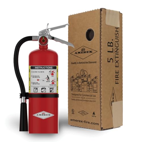 B500 5 lbs ABC Dry Chemical Fire Extinguisher