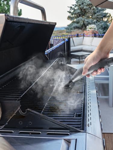 Steam Cleaner