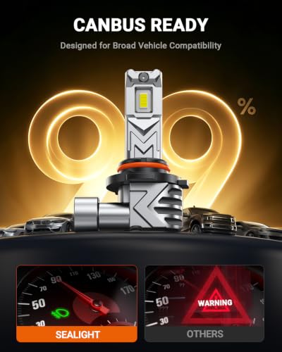 H10 LED Fog Light Bulbs