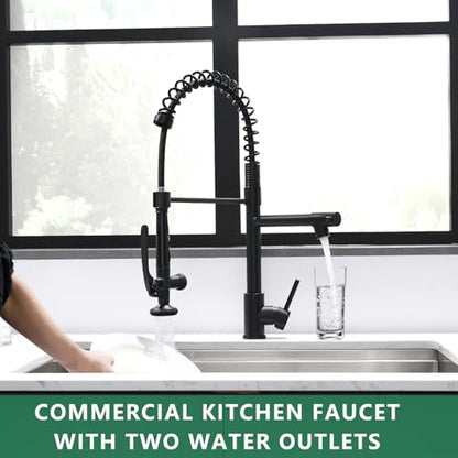 Black Kitchen Faucet