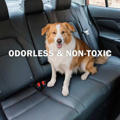 Custom Fit Floor Mats for 2019
