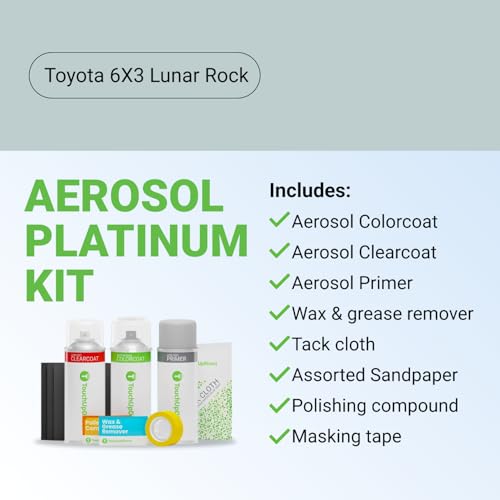 Car Paint Touch Up Spray Kit