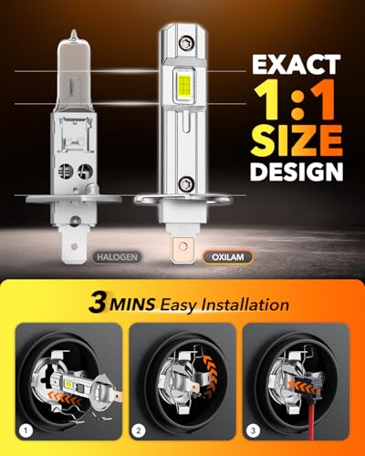 H1 Bulbs 2026 1 (2 Count)