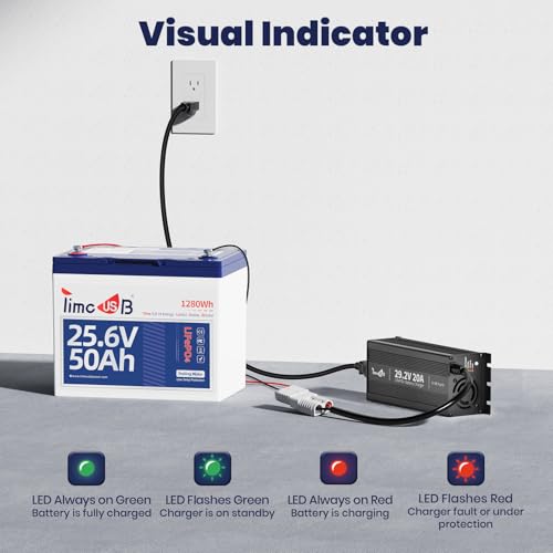 24V 20A Mini LiFePO4 Lithium Battery Charger with LED Indicators