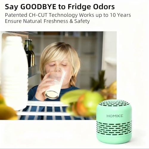 Refrigerator Deodorizer