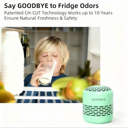 Refrigerator Deodorizer