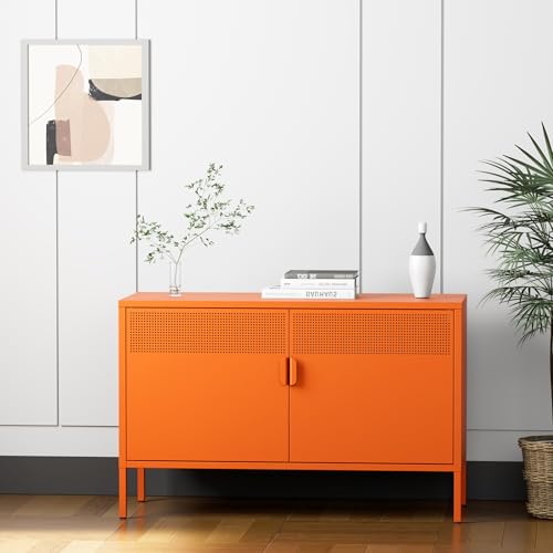 2 Door Accent Cabinet