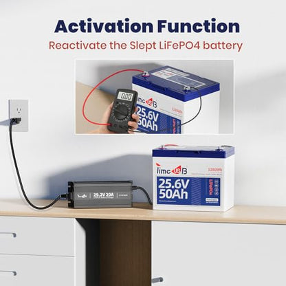 24V 20A Mini LiFePO4 Lithium Battery Charger with LED Indicators