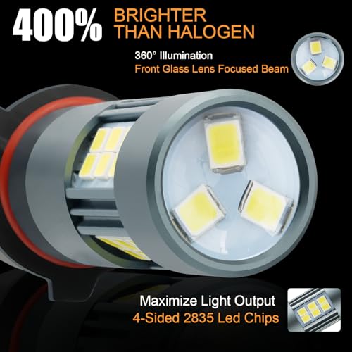 H10 LED Fog Light Bulbs (2 Count)