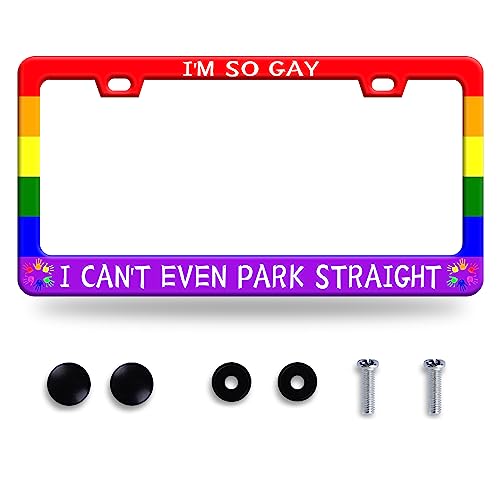 I'm So Gay I Can't Even Park Straight License Plate Frame 12.3"x6.3"