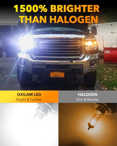 2026 Q26 H7 Bulbs Real 1 (2 Count)