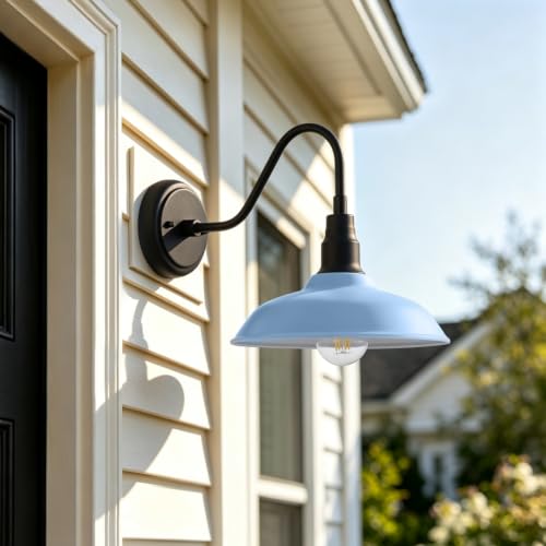 10 Inch Dome Gooseneck Barrn Light Outdoor