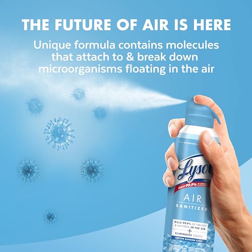 Air Sanitizer Spray (10 Fl Oz)