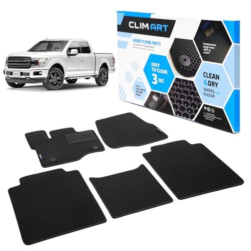All Weather Car Floor Mats Compatible with Ford F150 2015