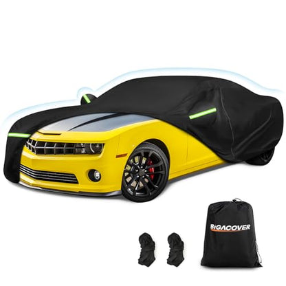 Car Cover for 2010