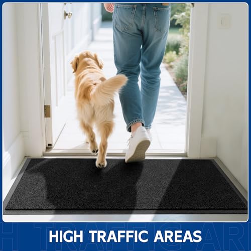 Sturdy Front Door Mat