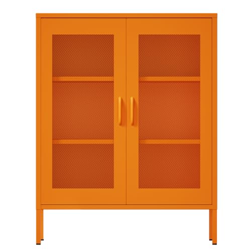 Metal Storage Cabinet with Mesh Doors