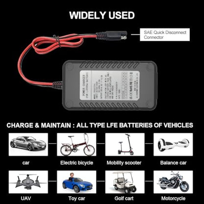 14.6V 4A LiFePO4 Lithium Battery Charger