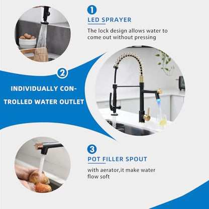 LED Kitchen Faucet with Pull Down Sprayer
