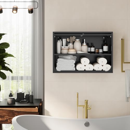 Metal Storage Cabinet Black Wall Cabinets with Shelf and Locking Door