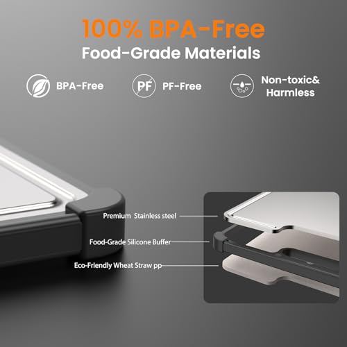 Premium 316 Stainless Steel Cutting Board for Kitchen Extra Large 16.9" x 11.8" Best Non