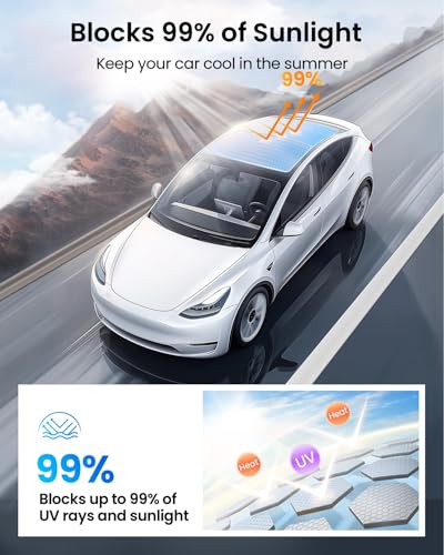 Tesla Model Y (2 Count)