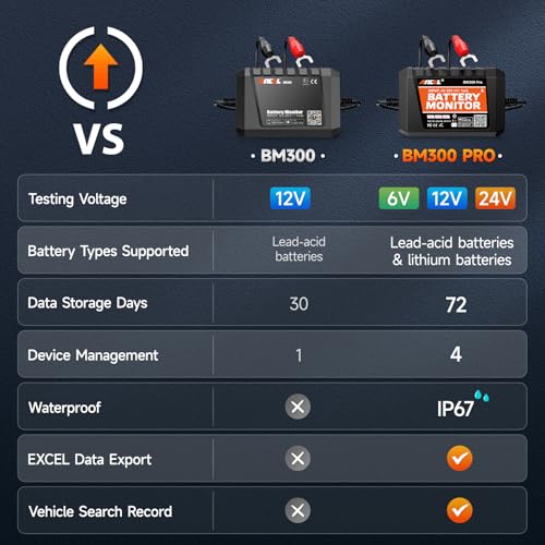 BM300 12V Battery Monitor